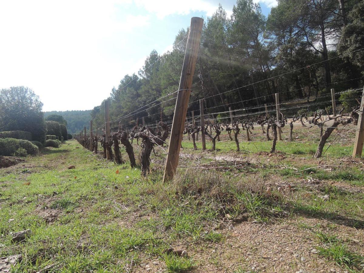 Le Petit Paradis - La Provencale Lorgues Exterior foto