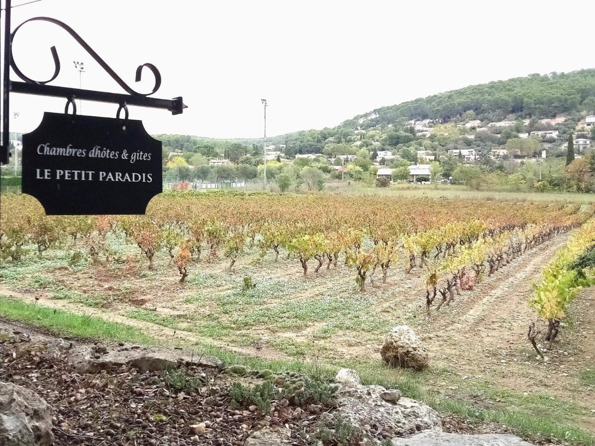 Le Petit Paradis - La Provencale Lorgues Exterior foto